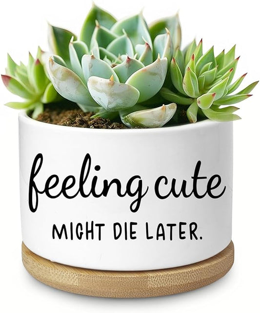 Funny Succulent Planter, Flower Cactus Plant Pot for Indoor Plants, Cute Planter Pots with Drainage and Tray, Office Home Windowsill Decor Planter Gift for Women Men (No Plants)