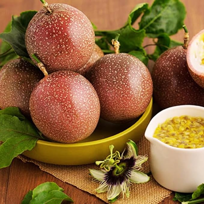 Live Passionfruit Plant Vine - 6 to 8 Inches Tall, Hardy and Fruit-Bearing, Purple Passion Fruit Tree Live Plant, for Planting Home Gardens and Containers