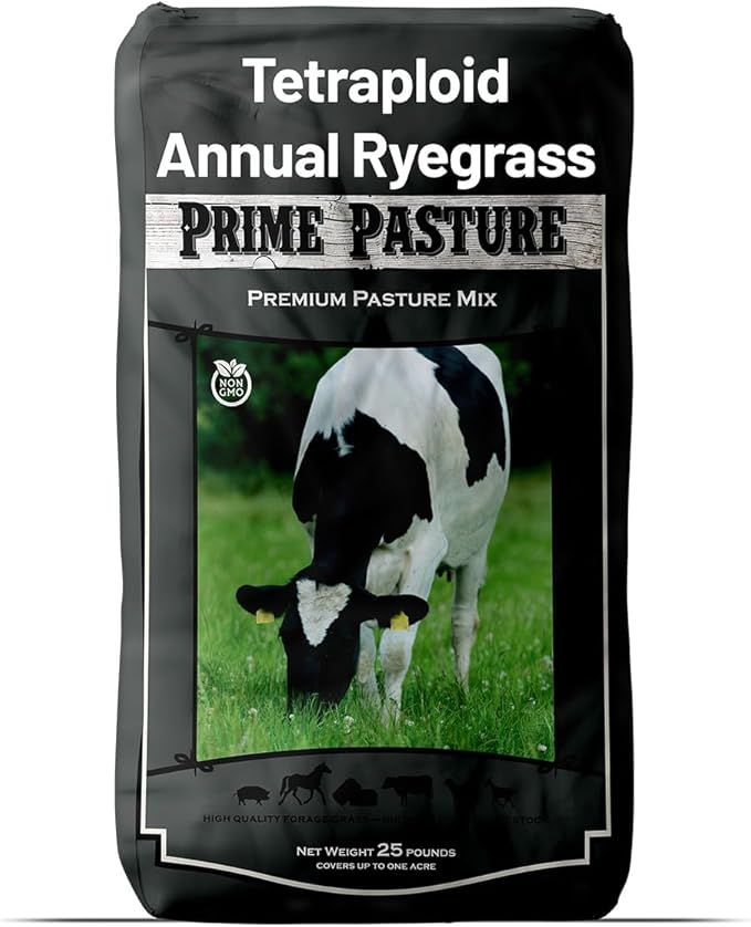 Outsidepride Ryegrass Seeds - 25 lb. Annual, Hardy & Fast-Growing, Cover Crop Seeds for Planting Glossy Dark Green Grass Leaves, Ideal for Hay Foraging, Pasture Grazing & Erosion Control