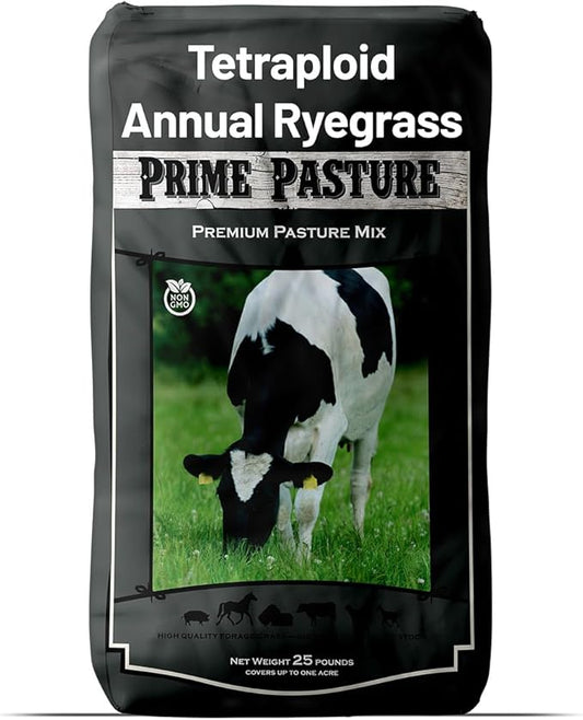 Outsidepride Ryegrass Seeds - 25 lb. Annual, Hardy & Fast-Growing, Cover Crop Seeds for Planting Glossy Dark Green Grass Leaves, Ideal for Hay Foraging, Pasture Grazing & Erosion Control