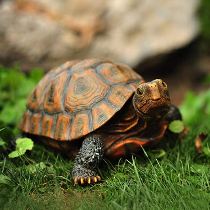 Danmu Realistic Tortoise Garden Statue, Lifelike Resin Tortoise Outdoor Decor for Yard Patio, Weather-Resistant Lawn Art Sculpture (L 12 9/10" x 9 2/5" x 5 1/2") 1 Pack