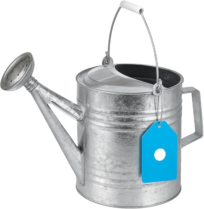 208 2-Gallon Steel Watering Can, Silver 208RH