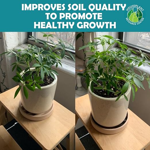 Houseplant Soil Conditioner & Probiotic – Organic Growth Booster (1-1-4) for Rejuvenating Tired Plants | Improves Soil Structure & Nutrient Availability for Stronger Roots & Fuller Leaves | 4 oz