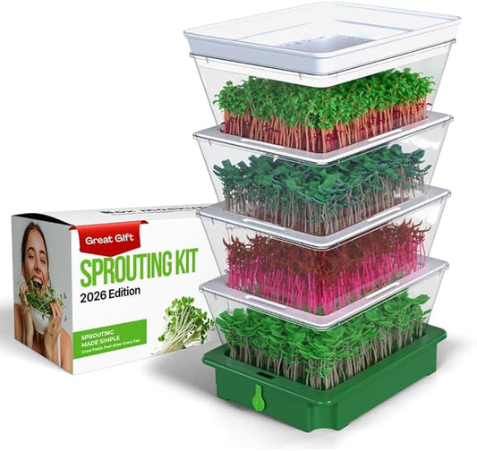 ZESTIGREENS 4-Tier Sprouting Kit with Drain Spout – Stackable Seed Sprouter Trays for Growing Fresh Sprouts at Home – BPA-Free, Easy Rinse & Drain System