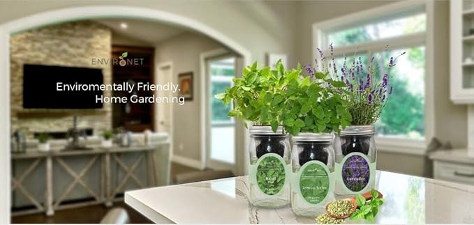 Hydroponic Growing Kit Set, Self-Watering Mason Jar Herb Garden Starter Kit Indoor, Window Herb Garden, Grow Your Own Herbs from Organic Seeds (Mint, Cilantro and Thyme)