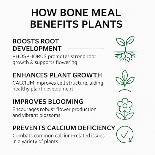 𝐁𝐄𝐒𝐓𝐒𝐄𝐋𝐋𝐄𝐑 Organic Bone Meal Fertilizer by Gardenera (4-12-0 NPK) All-Natural Plant Food Source of Nitrogen and Phosphorus for Bulbs, Gardens, Potted Plants, Trees, and Shrubs - 2 QUARTS