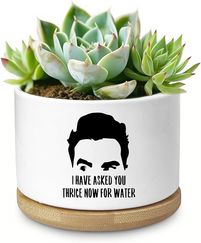 Funny Succulent Planter, Flower Cactus Plant Pot for Indoor Plants, Fun Planter Pots with Drainage and Tray, Office Home Windowsill Decor Planter Gift for Coworker Men (No Plants)