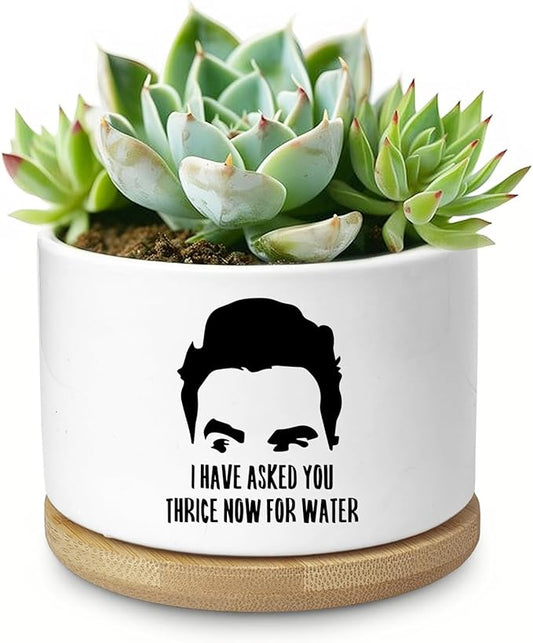 Funny Succulent Planter, Flower Cactus Plant Pot for Indoor Plants, Fun Planter Pots with Drainage and Tray, Office Home Windowsill Decor Planter Gift for Coworker Men (No Plants)
