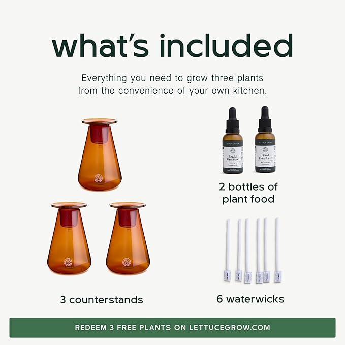 Counterstand Set – Vase Plant for Indoor Edible Garden Kit for Herbs & Lettuce – Small-Space Hydroponic System – Home Decor & Gifting – No Glow Lamp