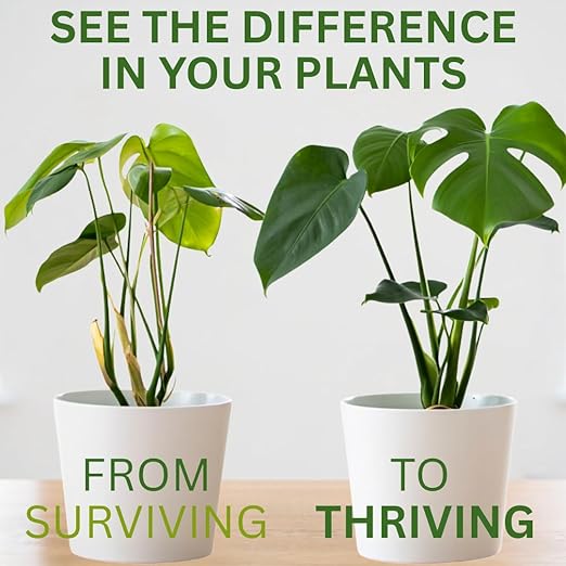 Silica Strength Plant Supplement – Strengthens Stems, Supports Upright Leaves & Improves Stress Resilience | Ready-to-Use 4.5% Liquid Concentrate for Houseplants | 8 oz | Makes 96 Gallons