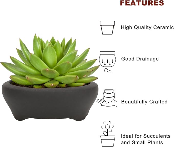 Bonsai Planter 2 pc 3.7" + 3.9" Unglazed Round Ceramic Succulent Pots Set