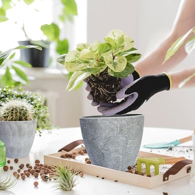 Plant Pots Indoor 7.5/6.5/6/5/4/3.5 Inch Set of 6 Plastic Planters for Indoor Plants with Drainage Hole and Drain Plug, Plastic Flower Pots, Nursery Planting Pot for Outdoor Plants (Gray)