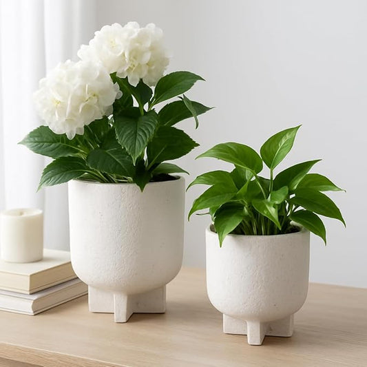Decorative Ceramic Flower Pots for Home Decor – Planters with Textured Finish for Indoor and Outdoor Plants – Modern Pedestal Plant Pots for Garden, Patio, or Room Decor; Set of 2 – 8", 6" White