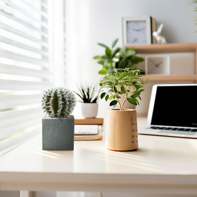 Cactus Artificial Plants in Gray Pots, Realistic Faux Cactus Potted Décor for Home, Office, Kitchen, Living Room, Desk, Shelf, and Indoor Decoration (Spherical)