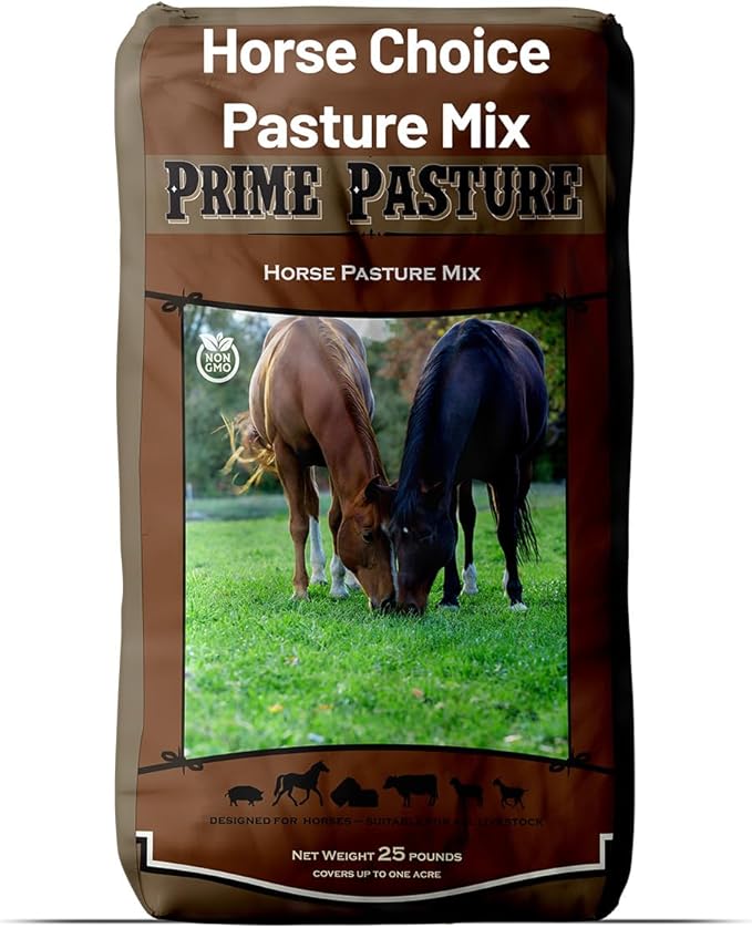 Outsidepride Horse Choice Pasture & Livestock Grass Seed Mix - 25 Lbs Perennial, Drought Tolerant, Cold Hardy, & High Yield Lawn Grass Seeds for Grazing, Hay, Silage, & Greenchop