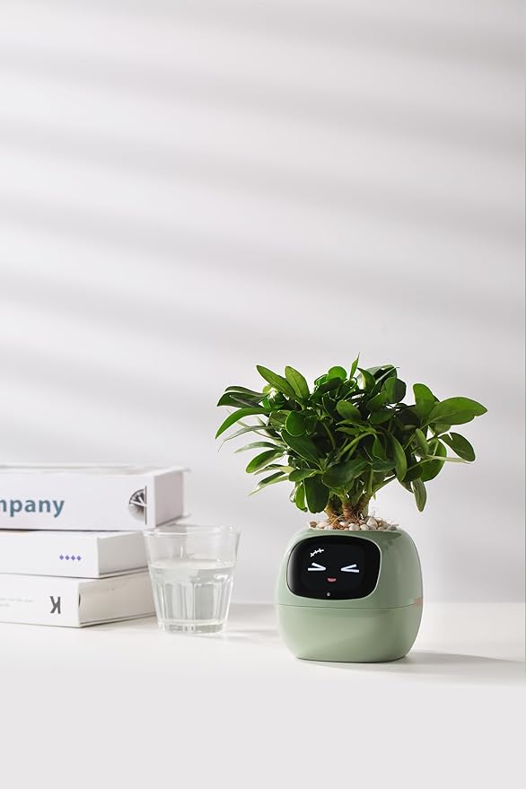 Plantagotchi AI Smart Plant Pot – Expressive Gesture-Controlled Planter with Light, Moisture & Temperature Sensors, App Care Guidance – Desk/Office Gift
