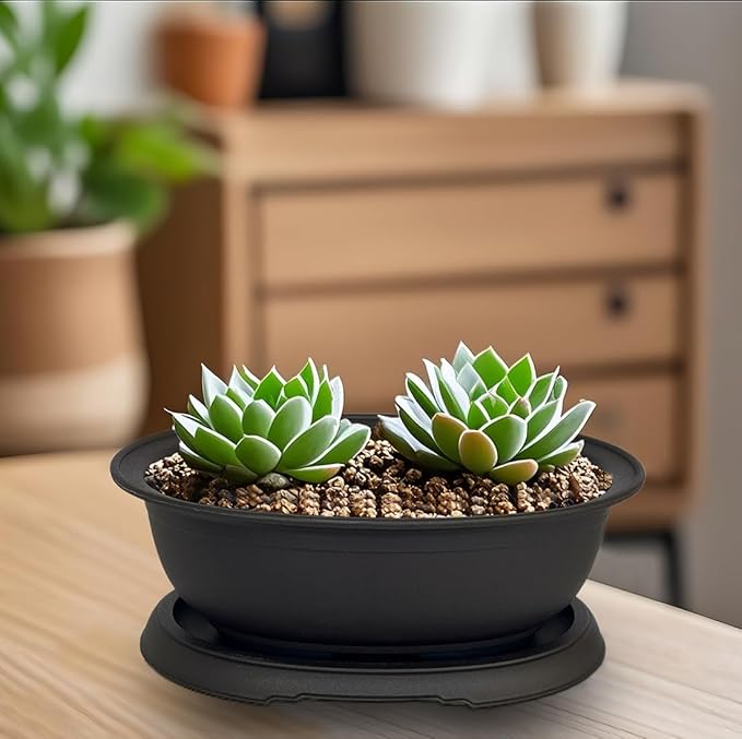 MUZHI 3 Pack Oval Bonsai Training Pot with Drainage Tray, Matte Finish Nursery Plastic Bonsai Planter with 25PCS 2inch Mesh pad (5.2" Small)