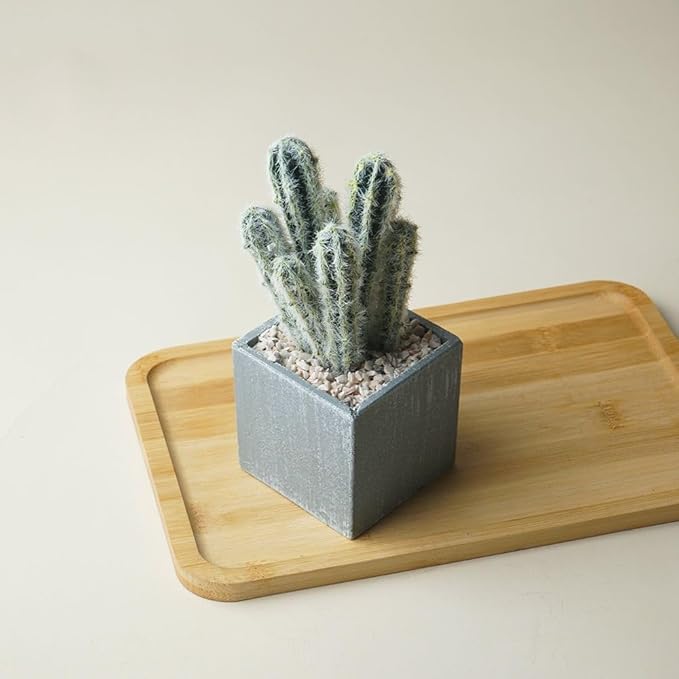 Cactus Artificial Plants in Gray Pots, Realistic Faux Cactus Potted Décor for Home, Office, Kitchen, Living Room, Desk, Shelf, and Indoor Decoration (Cylinder)