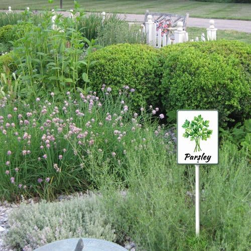 FemiaD Plant Label Signs Planted Herb Garden Markers Waterproof Aluminum Plant Stake Tags Parsley Sign for Nursery Indoor Outdoor Garden Decoration 8x12inch