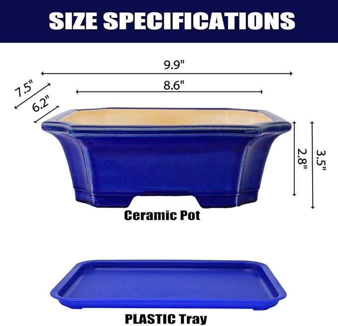 MUZHI Blue Bonsai Plant Pot 9.9” with Drip Saucer, Classic Glazed Ceramic Planter Container for Tree, Cactus, Succulent