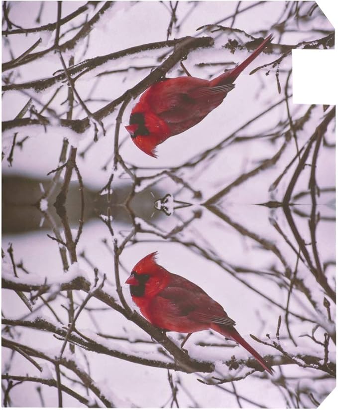 ALAZA Snowy Branches Red Cardinal Birds Magnetic Mailbox Cover MailWraps Garden Yard Home Decor for Outside Oversized-25.5" x20.8"