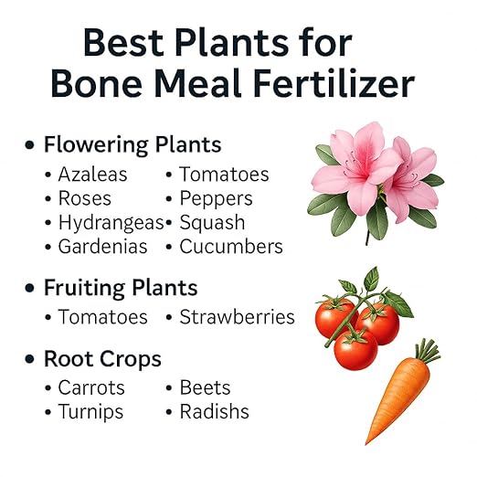 𝐁𝐄𝐒𝐓𝐒𝐄𝐋𝐋𝐄𝐑 Organic Bone Meal Fertilizer by Gardenera (4-12-0 NPK) All-Natural Plant Food Source of Nitrogen and Phosphorus for Bulbs, Gardens, Potted Plants, Trees, and Shrubs - 2 QUARTS