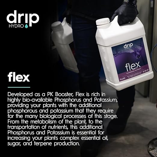 Flex PK-Booster Gallon