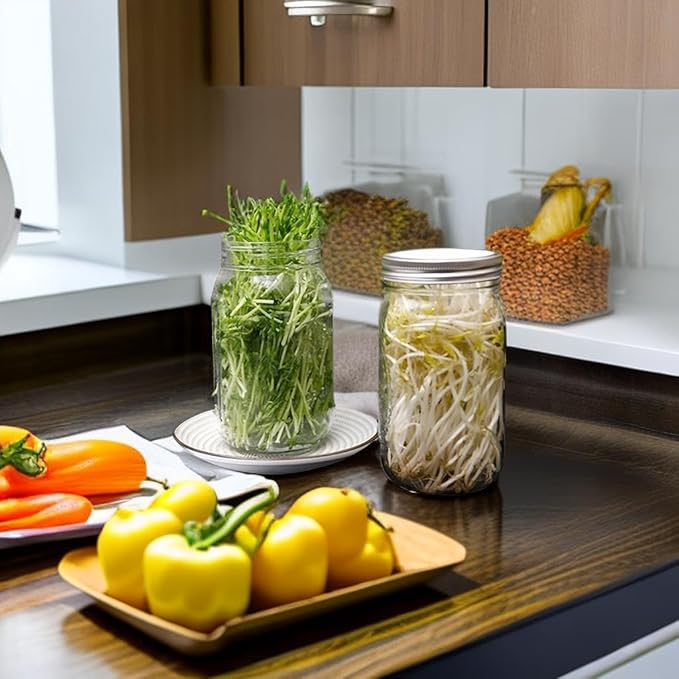 Lulonpon 2pcs Sprouts Growing Jar Kit, Wide Mouth Quart Mason Jars with Stainless Steel Screen Sprout Lids, 86mm,1000ml,Stand,Tray and Canning Brush,Seed Sprouter Set for Broccoli, Alfalfa, Mung Bean