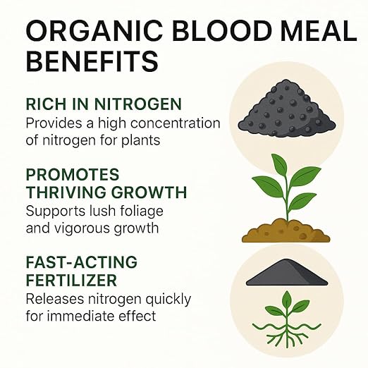 𝐁𝐄𝐒𝐓𝐒𝐄𝐋𝐋𝐄𝐑 Organic Blood Meal Fertilizer by Gardenera - 12-0-0 NPK - All-Natural Plant Food Source of Nitrogen for Organic Gardening, Flowers, Vegetables, Trees & Shrubs [8 OZ]