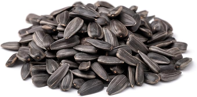 CountryMax Backyard Seeds Black Oil Sunflower for Wild Birds (50 Pounds)