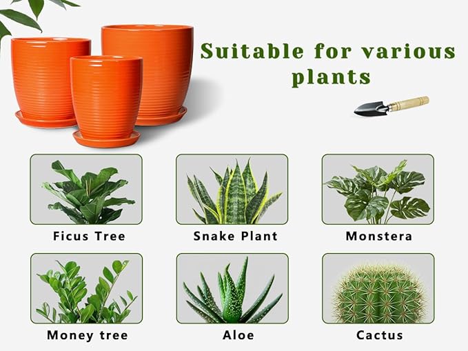 Ceramic Pots for Plants - 8 Inch Plant Pot with Drainage Hole and Saucer, Round Planter for Indoor Outdoor, Modern Flower Planters, Home Apartment Room Decor, Gardening Gifts, Orange