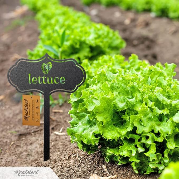 RealSteel - Seed & Plant Markers - Indoor/Outdoor Herb Garden Stakes - Elegant Fruit/Vegetable Seed Labels - Durable Plant Tags for Pots - Classy Design for Farmhouse/Greenhouse (Oregano)
