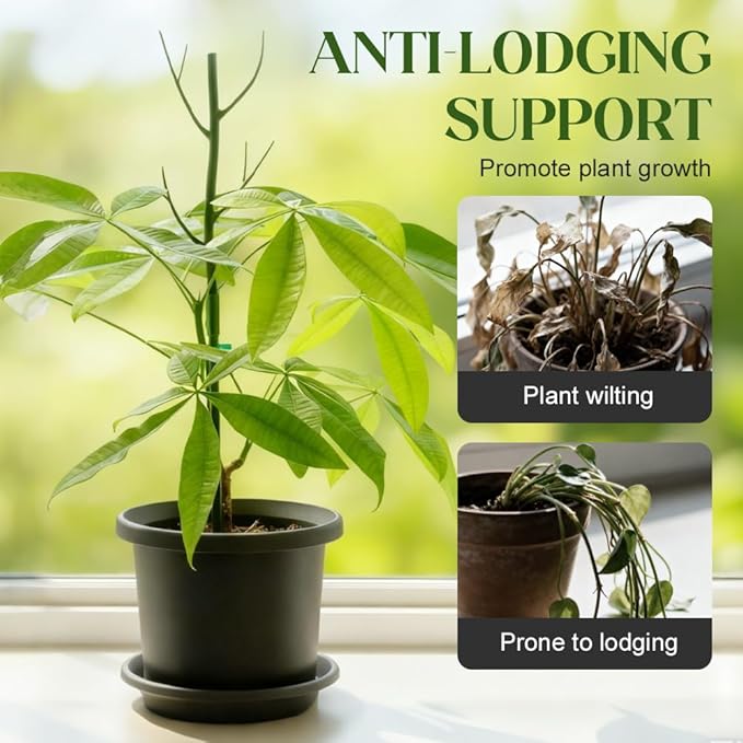 Monstera Plant Support, Adjustable and Stackable Garden Plant Support Stakes with Clamps for Indoor Outdoor Plants, Suitable for Supporting Monstera and Climbing Plants (10 Pack)