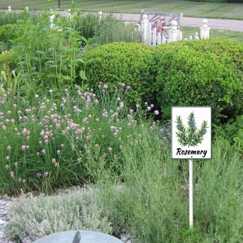 FemiaD Plant Label Signs Planted Herb Garden Markers Waterproof Aluminum Plant Stake Tags Rosemary Sign for Nursery Indoor Outdoor Garden Decoration 4.6x6inch