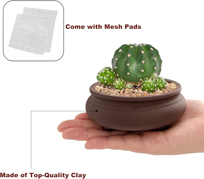 Bonsai Planter 2 pc 3.9" + 4.1" Unglazed Round Ceramic Succulent Pots Set