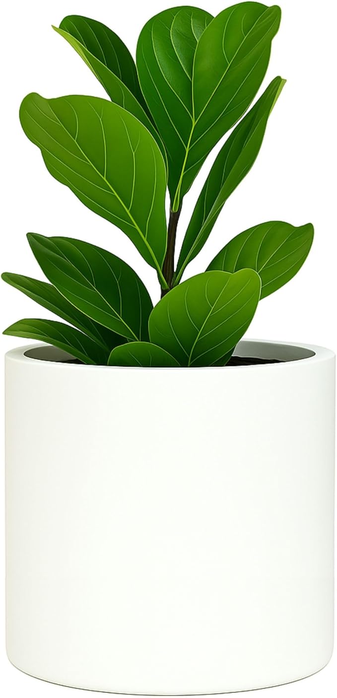 Fox & Fern Large 12 Inch Plant Pot with Hidden Saucer — Premium Lightweight Fiberstone Matte White Self Watering Planter with Seamless Saucer; Indoor & Outdoor Use; Weather Resistant & UV Resistant