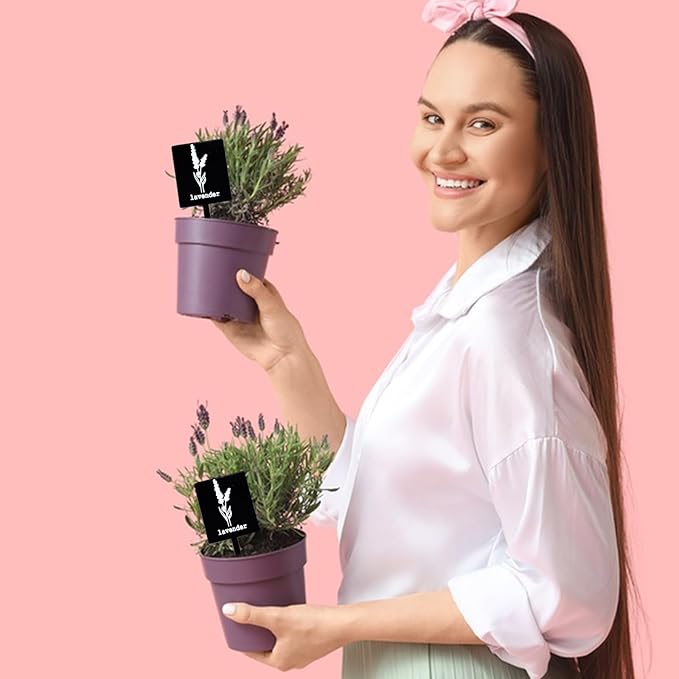 24Pcs Garden Herb Markers Acrylic Plant Label Signs Plant Stake Tags Reusable Black Waterproof Tags with Herb Names for Nursery Seedlings Potted Greenhouse Indoor Outdoor Garden Decoration