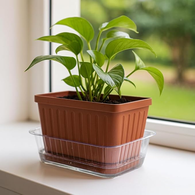 Curtis Wagner Plastics Oval Clear Heavy Gauge Vinyl Basket Liner (5-Pack) - Clear, Oval (Diameter: 4.75 x 2.75 Base, 6.5 x 4.5 x 2.5 Top, 2.5 Depth) Thin Plastic Plant Tray