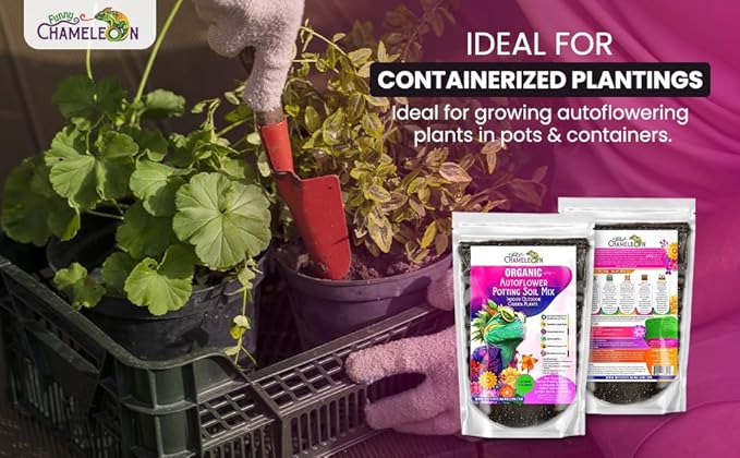 Organic Autoflower Potting Soil Mix – Ready-to-Use Living Soil, No Fertilizers Needed – Balanced Nutrients, Light Texture, Excellent Drainage, Boosts Germination & Root Growth (3 quarts)