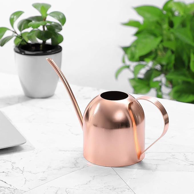 Yardwe 1000ml Stainless Steel Watering can for Indoor Plants, Long Spout Watering Pot for Garden Home Office, Rose Gold