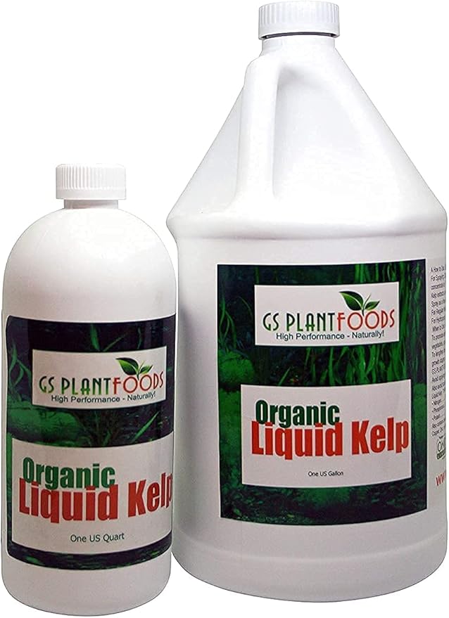 Organic Kelp Fertilizer by GS Plant Foods - Omri Certified (1 Quart) - Kelp Fertilizer for Gardens, Lawns & Soil