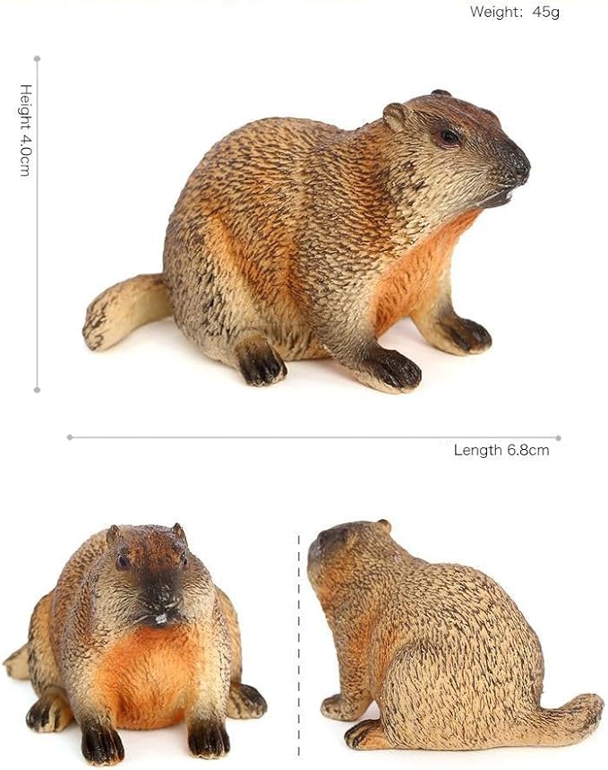 4PCS Groundhog Figurine Groundhog Sculpture Groundhog Model Animal Model Home Decoration Outdoor Garden Statue