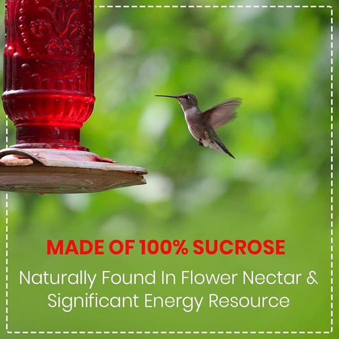 Happy Wings 2 lb (32 Ounce) Hummingbird Nectar Powder Concentrate, Natural Red