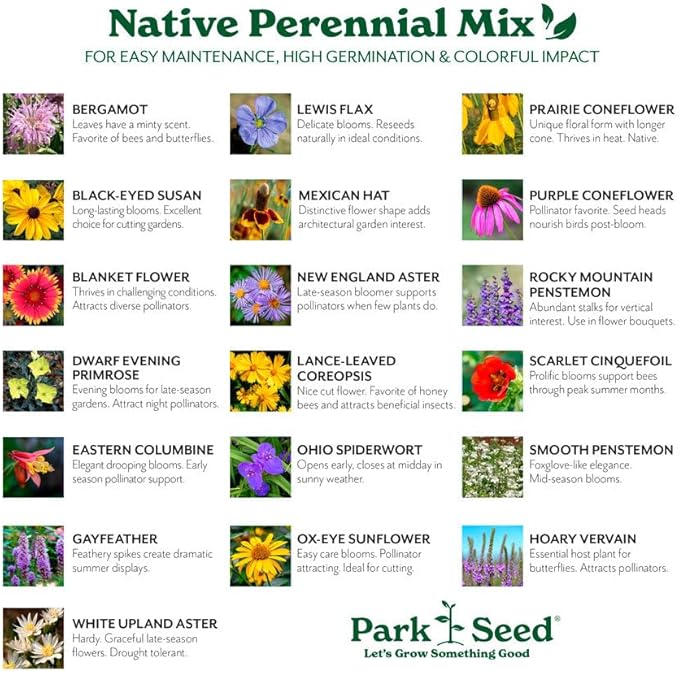 Park Seed Grow Your Own Vibrant Perennial Wildflower Garden Seeds Mixture, Easy to Grow Varieties for Pollinators and Spring Gardens - Native Perennial Mix, 1/4 lb