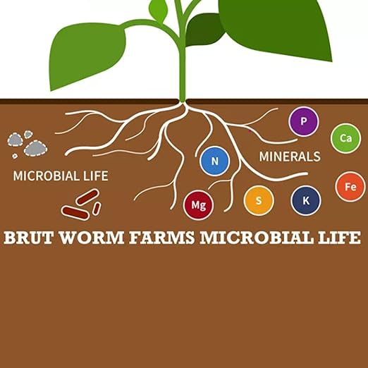 All Organic Fertilizer Worm Castings Filled with Nutrients and Minerals for a Variety of Indoor and Outdoor Plants, 30 Pounds, 2 Pack
