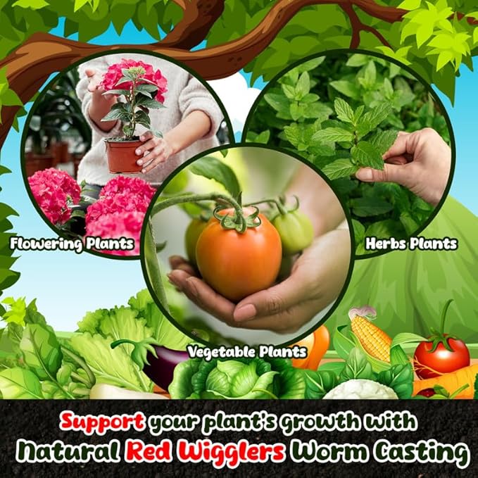 Organic Worm Castings for Plants 1 Lb - Vermicast from Red Worms for Composting - Soil Amendments & Gardening Soil for Outdoor Vegetables - Fine & Crumbly Worm Castings for Indoor Plants