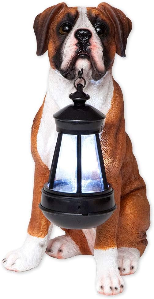 Bits and Pieces - Dog Solar Lantern Statue - Solar Powered Garden Lantern - Resin Dog Sculpture with LED Light - Outdoor Lighting and Décor (Boxer)