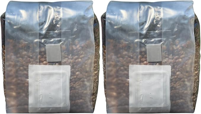 Mushroom Grow Kit - Magic All in One Mushroom Grow Bags (Pack of 2)