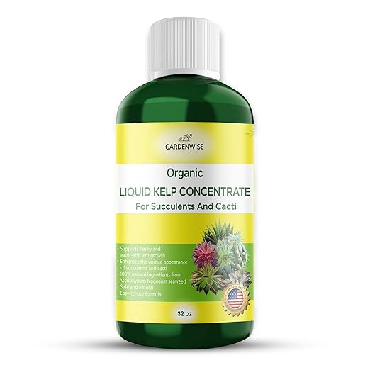 Organic Kelp Seaweed Fertilizer: Premium Succulent and Cactus Food - Indoor Plant Nutrition with Root Booster, Ideal for Christmas Cactus, Dragon Fruit, and Potted Plants (32 OZ)