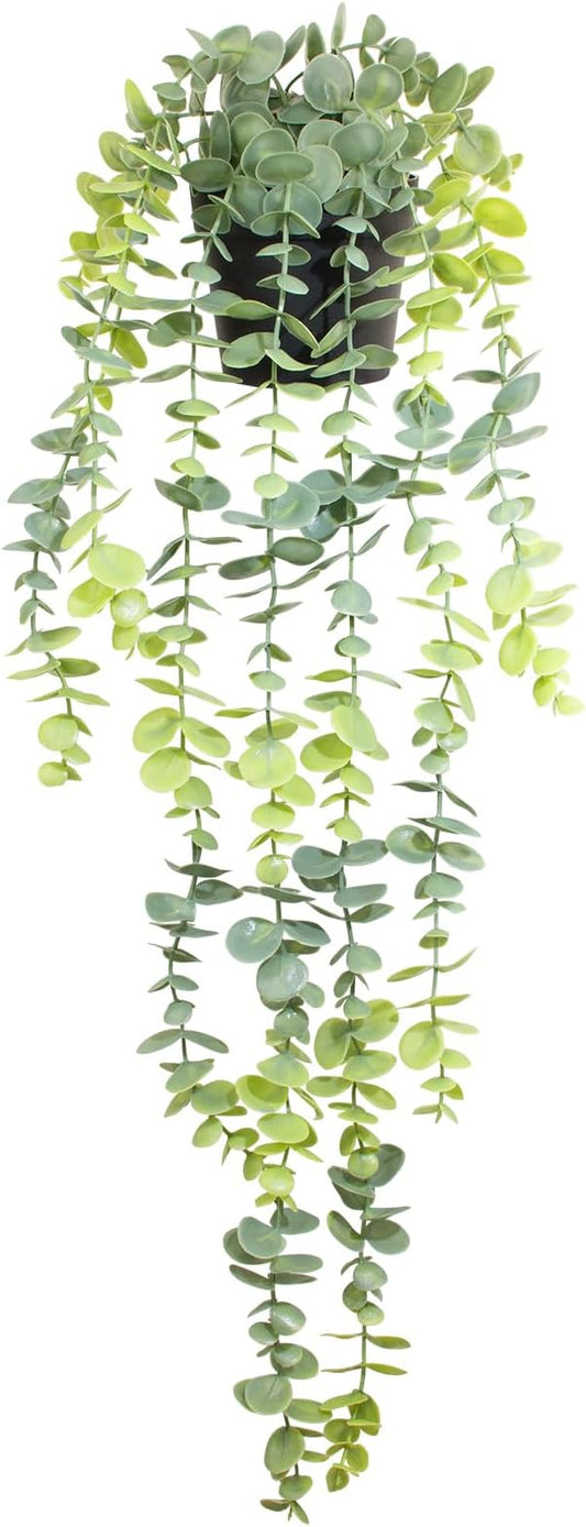 Fake Hanging Eucalyptus Plants Artificial Faux Plants Indoor Small Hanging Greenery Decor for Shelf with Black Pot Soft Green for Living Room, Kitchen, Balcony, Garden, Bedroom